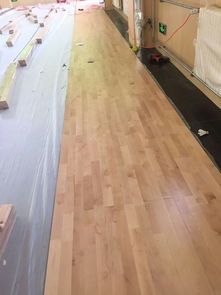 鹿泉健身房 先进工艺打造卓越木地板，守护运动安全与舒适